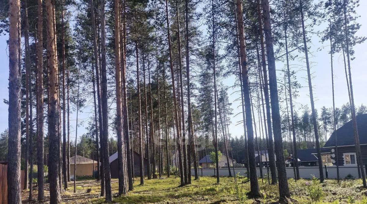 земля г Сыктывкар пгт Верхняя Максаковка р-н мкр Шордор фото 3