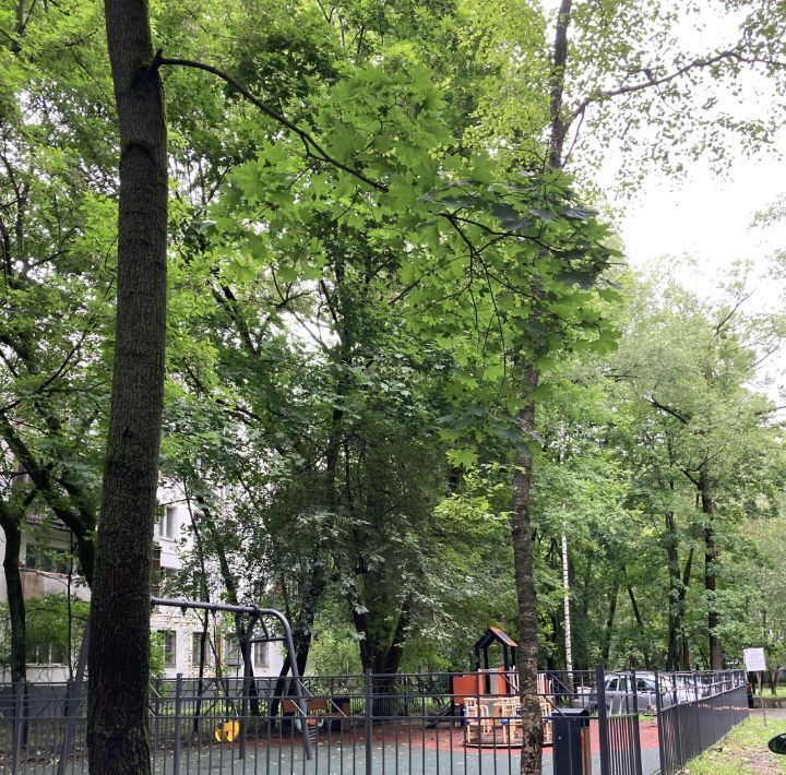квартира г Москва метро Щелковская ул Байкальская 33к/2 фото 3