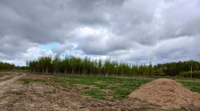 земля р-н Октябрьский ул Непокорённых Ленинградцев фото