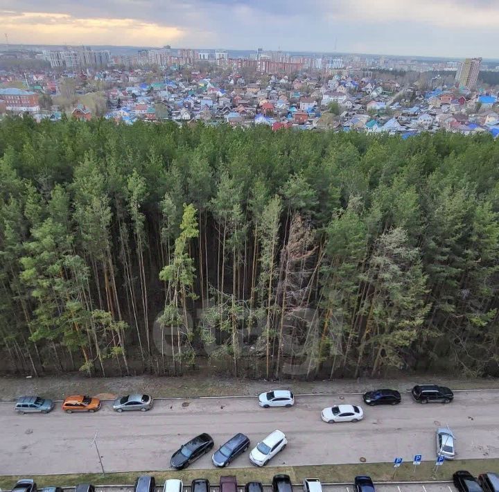 квартира г Ижевск р-н Индустриальный ул 10 лет Октября 60бк/2 фото 49