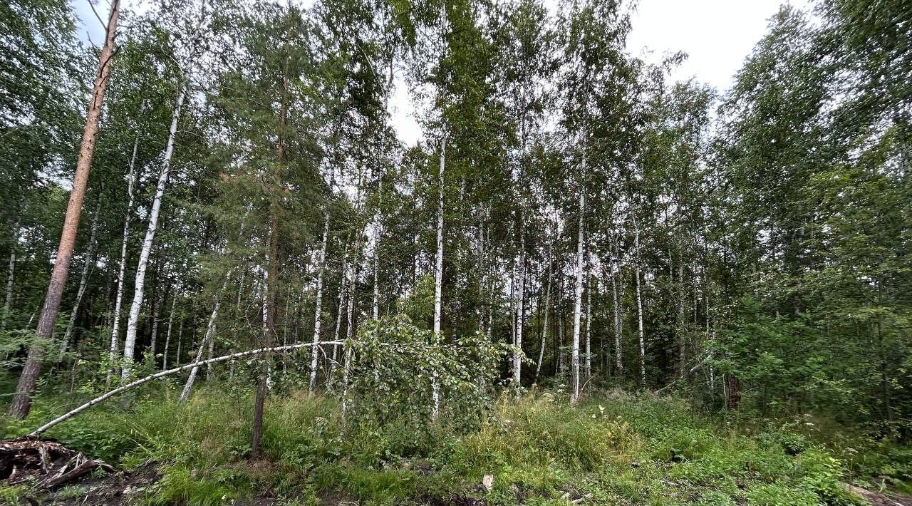 земля г Верхняя Пышма п Ольховка ул Апрельская фото 3
