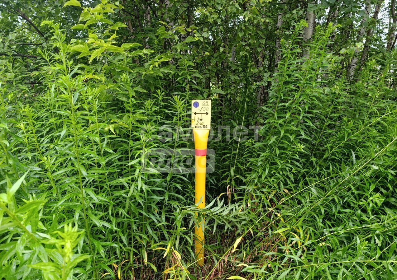 земля р-н Городецкий г Городец ул. Пономарёва, 24А, д. Пономарёво фото 19