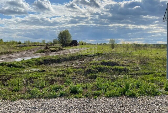 сельское поселение Глухово, деревня Бабичево фото