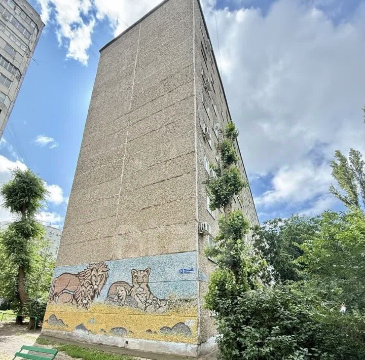 квартира г Воронеж р-н Коминтерновский ул Генерала Лизюкова 55 фото 21