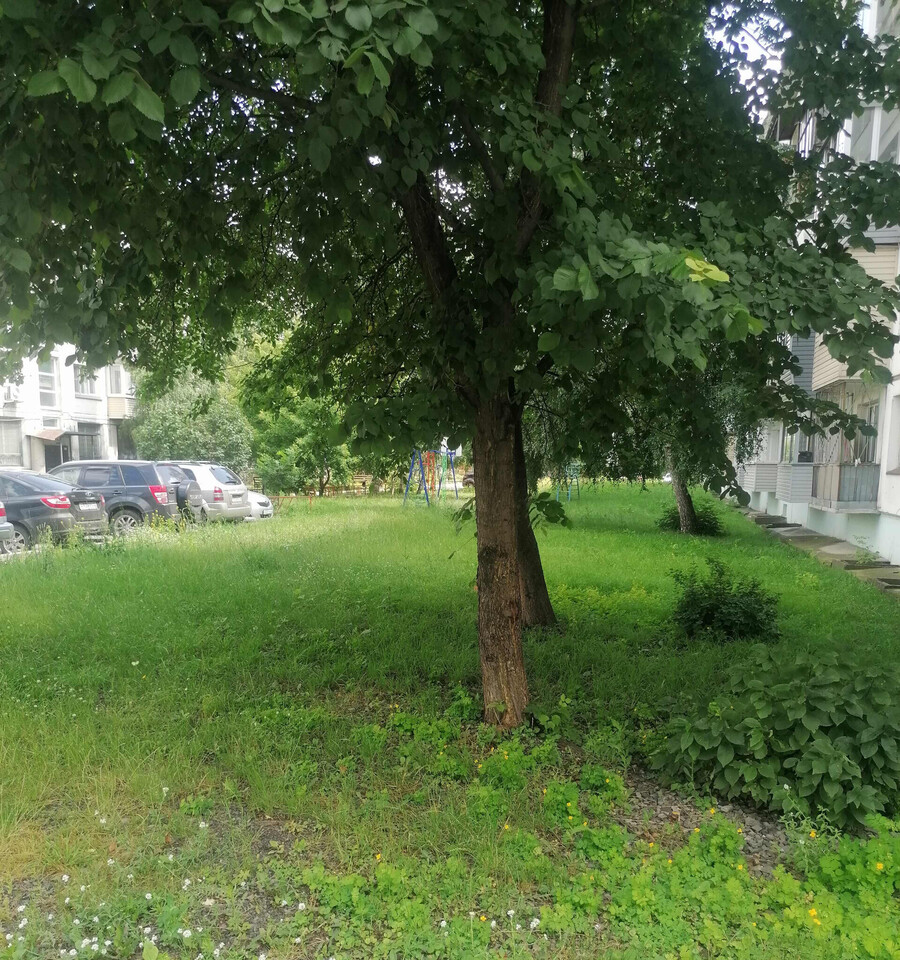квартира г Бийск ул Ильи Мухачева 256/2 фото 2