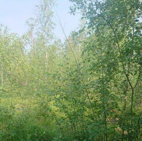 земля г Якутск ул Сергеляхское поле фото 1