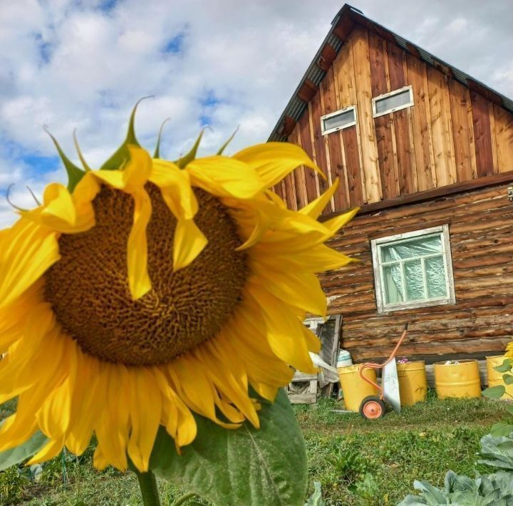 земля г Якутск с Пригородный фото 8