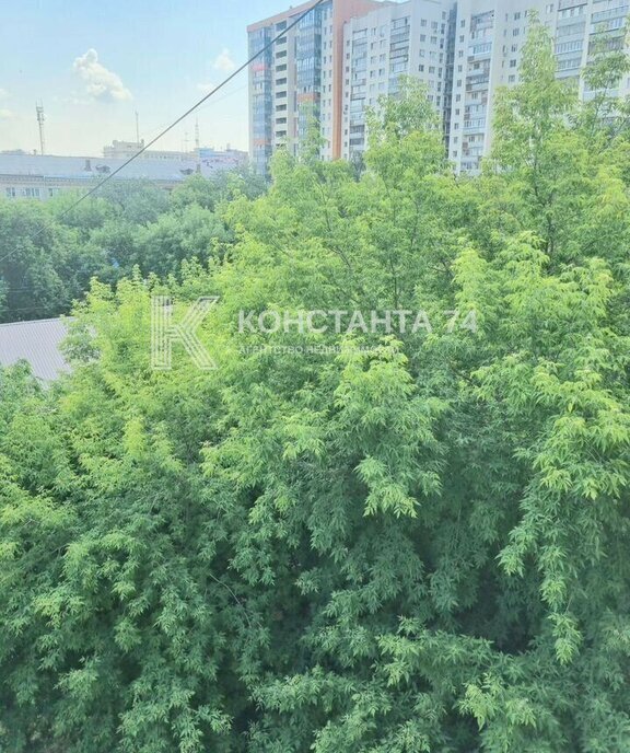 квартира г Челябинск ул Красная 69 фото 19