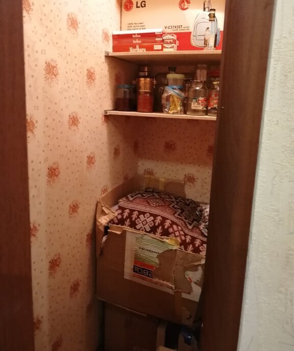 квартира г Саратов улица имени Академика С. Г. Навашина, 20 фото 12