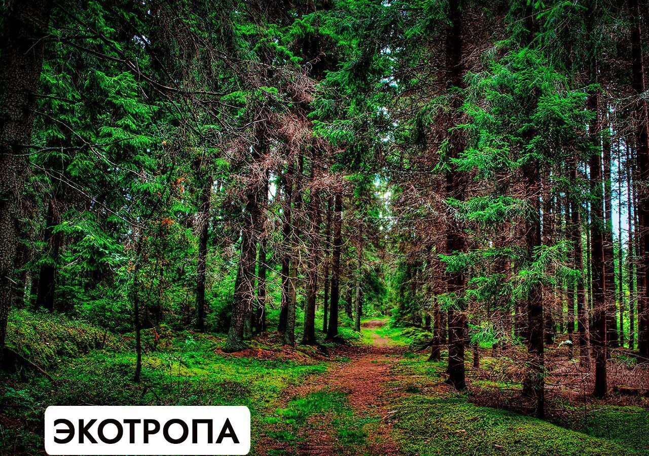 земля г Истра КП Монтевиль Павловская Слобода, 25 км, Новорижское шоссе фото 34