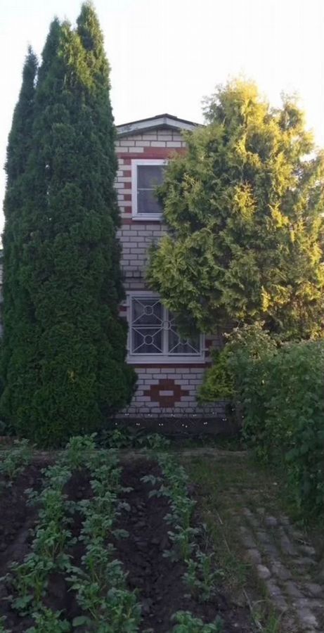 дом г Дзержинск снт Лесное 117, Кстово, г. о. Нижний Новгород фото 2