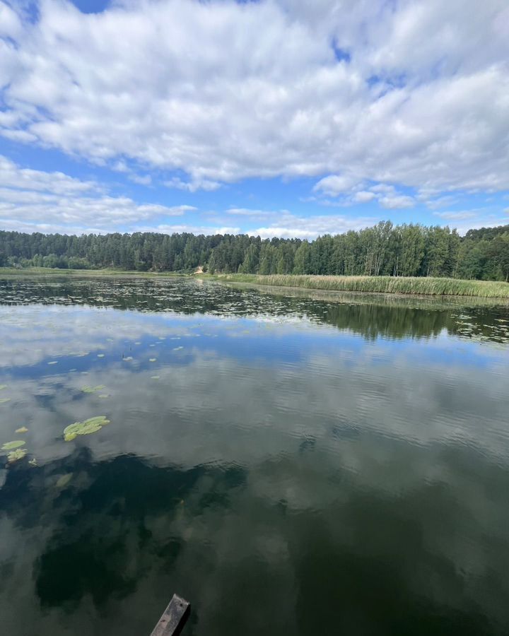 земля г Кинешма ул Грудчихинская фото 6