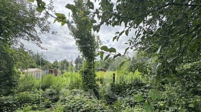 дом г Воронеж р-н Левобережный снт Кировец 591 фото 10