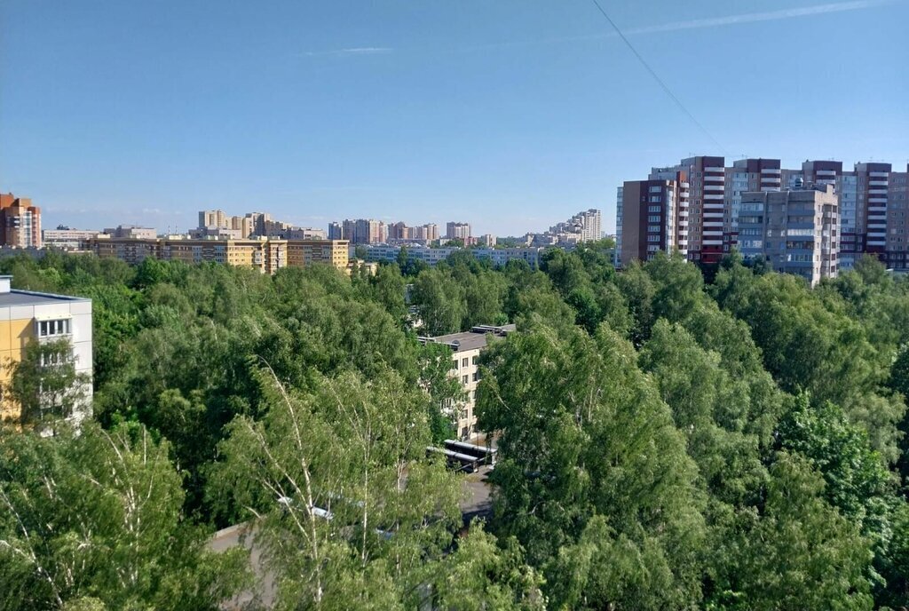 квартира г Санкт-Петербург метро Академическая ул Вавиловых 13к/4 фото 12