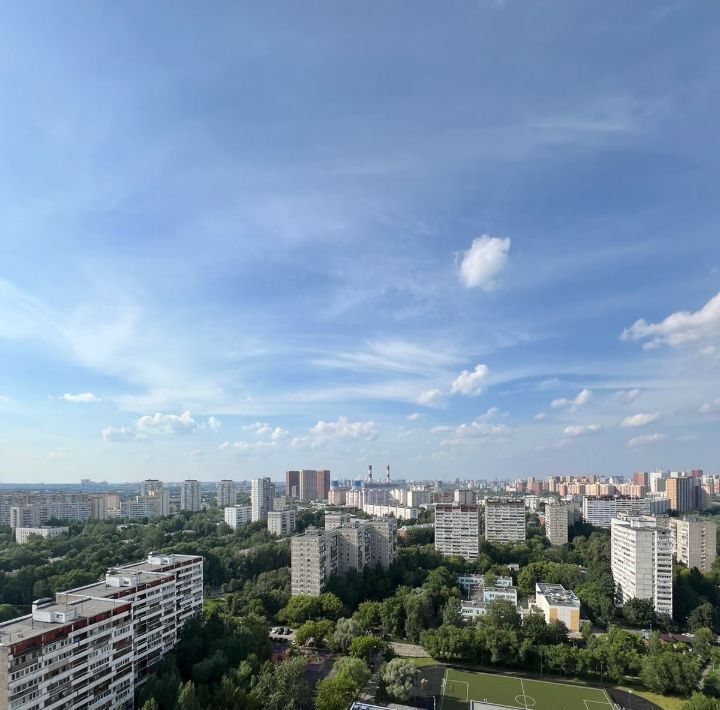 квартира г Москва метро Озерная пр-кт Мичуринский 80 фото 38