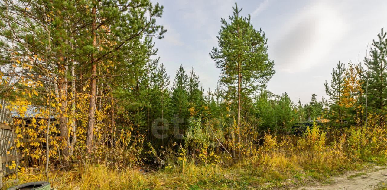 земля г Сургут снт Ручеёк ул Пятая фото 5