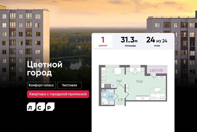 Ручьи Ленинградская область фото