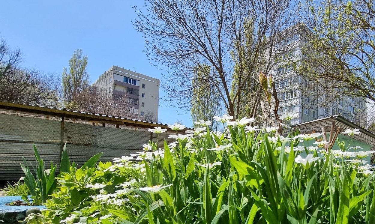 квартира г Ставрополь р-н Промышленный пр-кт Ворошилова 13/3 №31 мкр фото 3