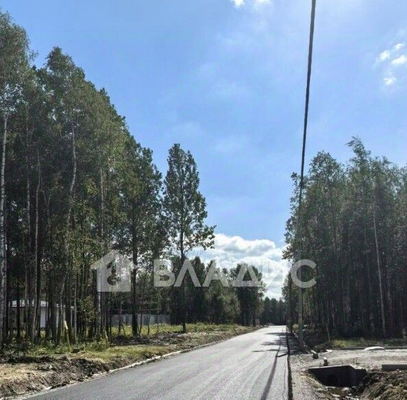 земля г Павловск р-н Пушкинский Павлов Скай кп фото 4