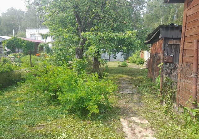 снт Лесное 17 км, Ивантеевка, Ярославское шоссе фото
