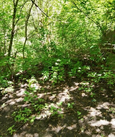 ст снтСредняя падовка Юнгородок, Смышляевский, городское поселение Смышляевка, массив, СДТ фото