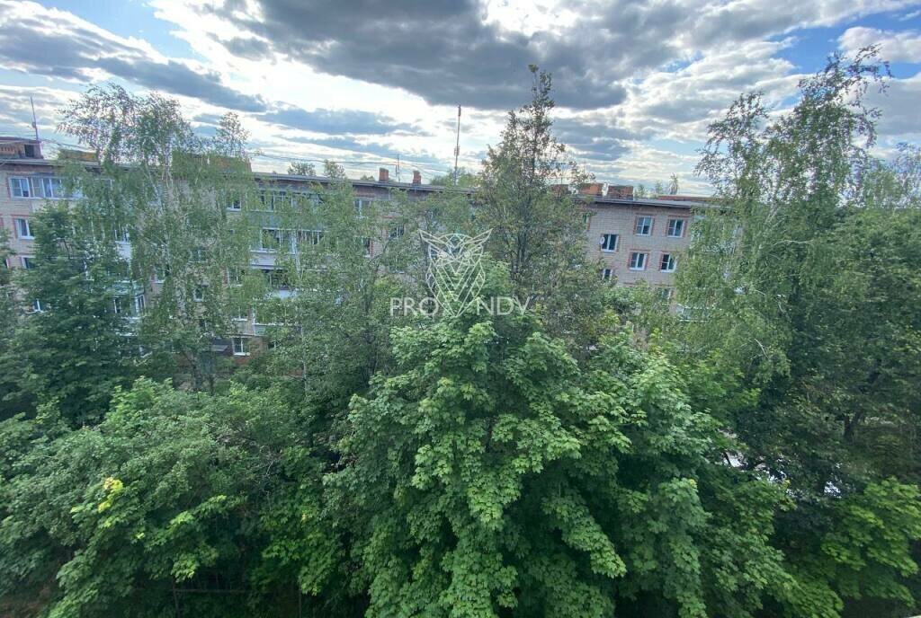 квартира городской округ Пушкинский г Красноармейск ул Дачная 13 фото 13