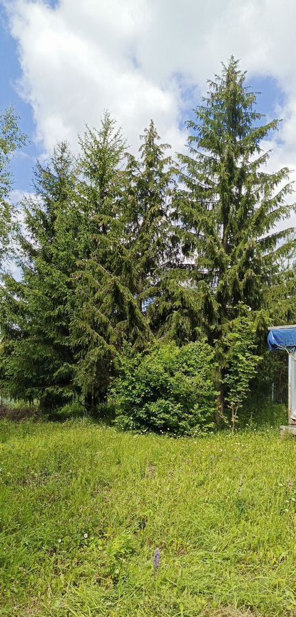 земля городской округ Одинцовский г Звенигород 45 км, садовое товарищество Земля, 60, Минское шоссе фото 3