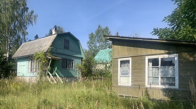 снт N1 ЦНИИ им.акад. А.Н.Крылова Куйвозовское с/пос фото