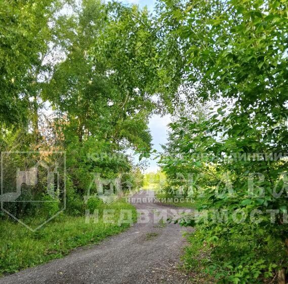 земля г Кемерово р-н Заводский снт Сухой Искитим фото 6