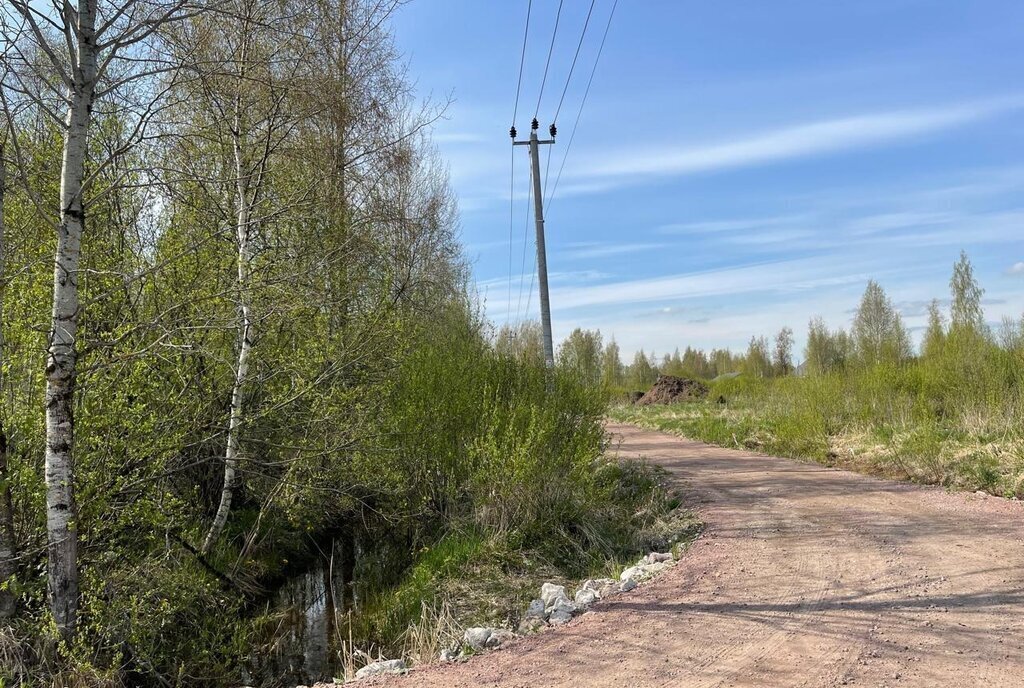 земля р-н Всеволожский г Всеволожск Ладожская фото 8