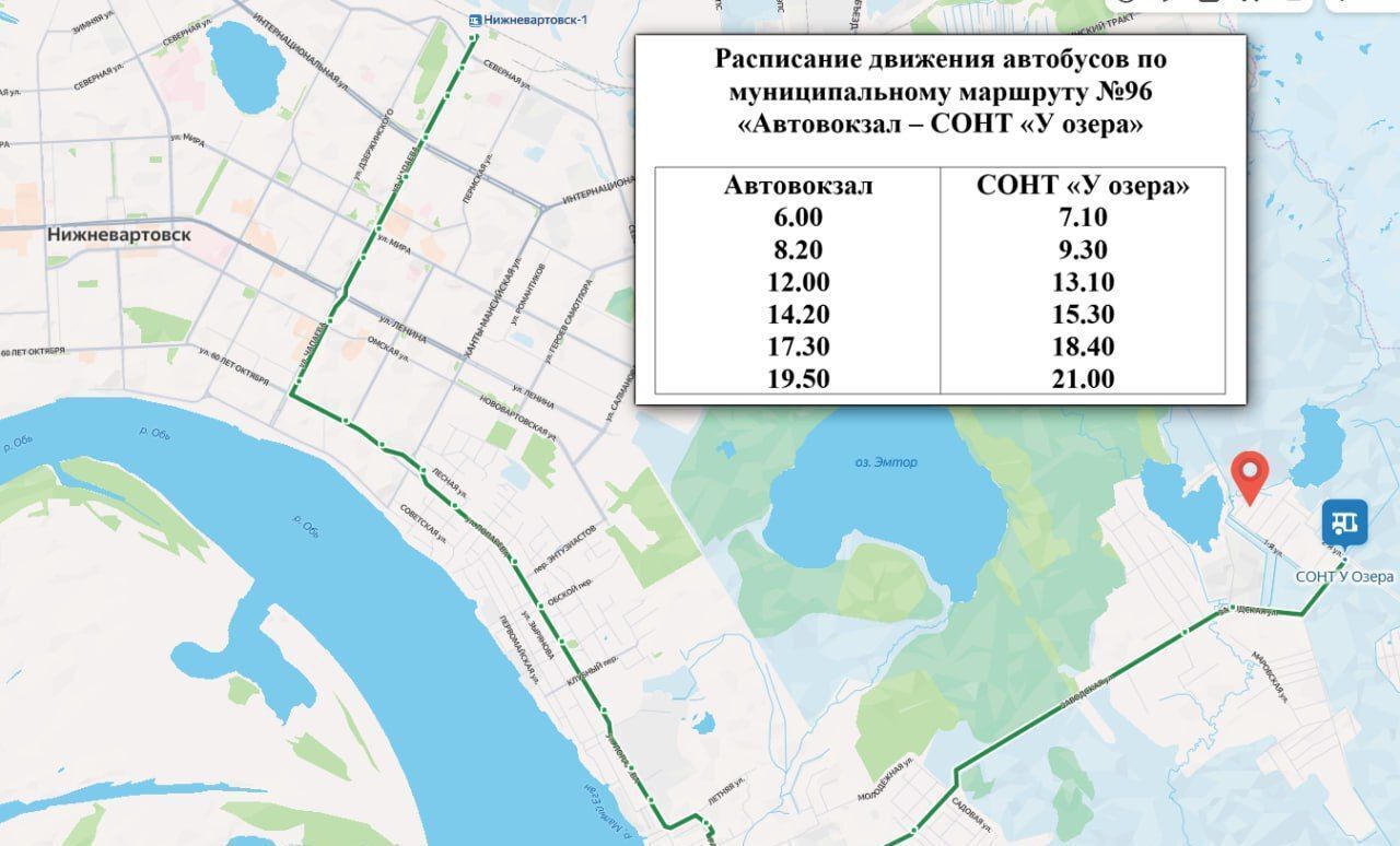 земля г Нижневартовск ул Рябиновая Тюменская обл., садово-огородническое некоммерческое товарищество У Озера фото 12