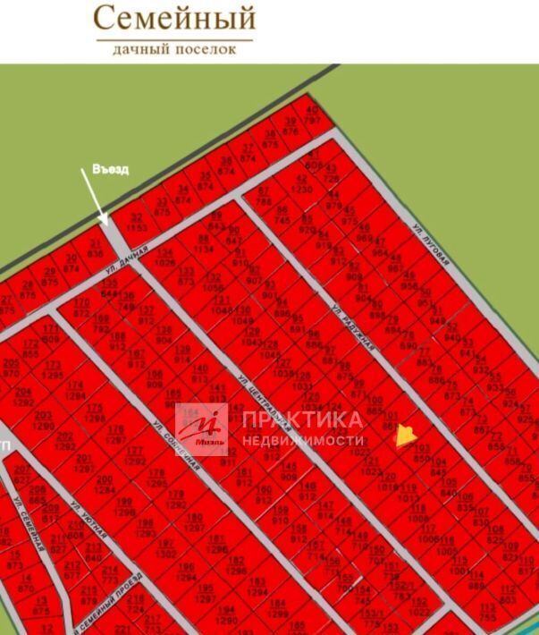 земля г Солнечногорск Семейный дп, 102 фото 2
