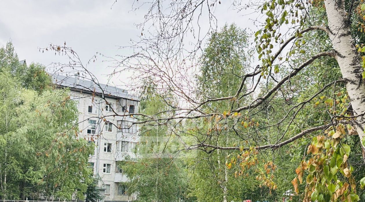 квартира г Нижневартовск ул Мира 80 фото 27