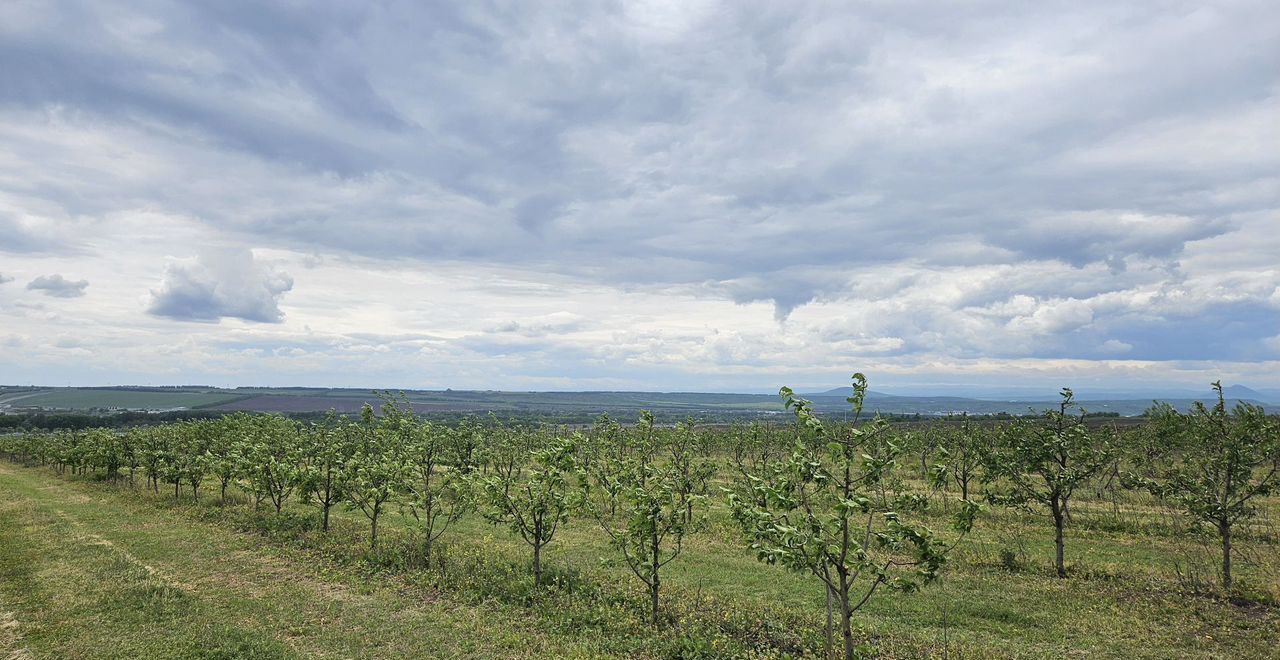 земля г Пятигорск ст-ца Константиновская фото 7