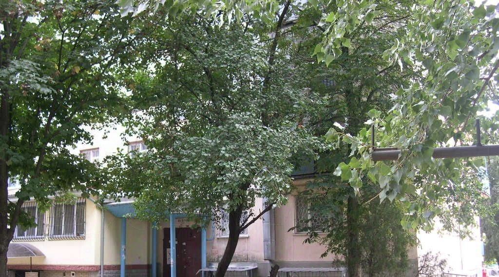 квартира г Симферополь р-н Киевский ул Ростовская 2 фото 6