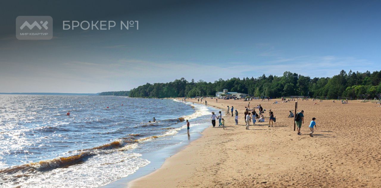 земля г Зеленогорск Курортный ул Лесная фото 2