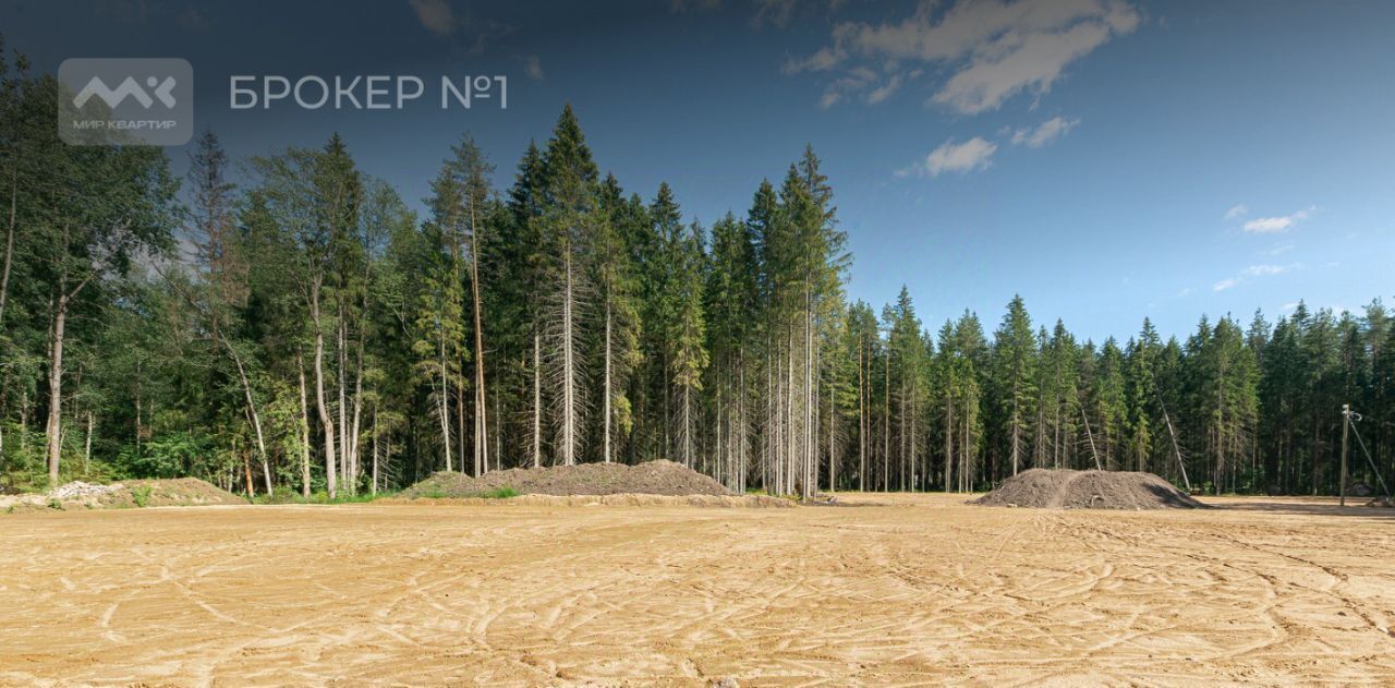земля г Зеленогорск Курортный ул Лесная фото 3