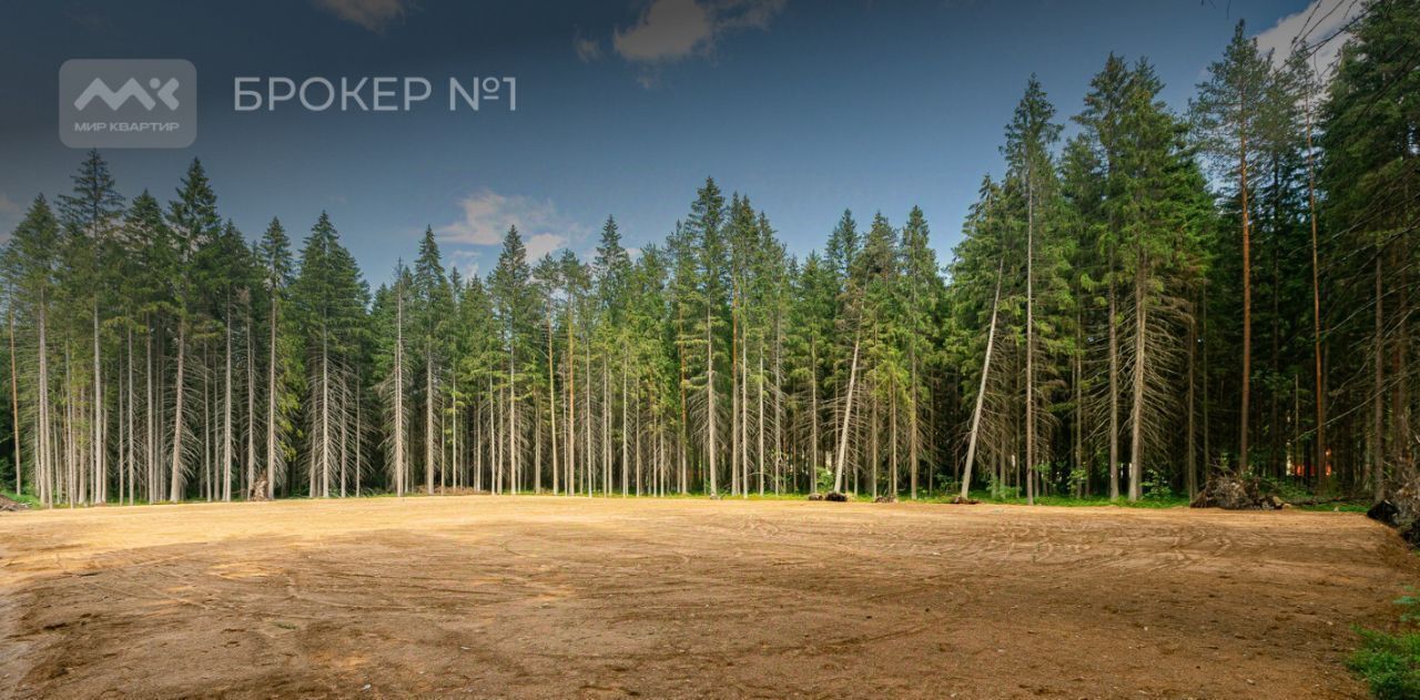земля г Зеленогорск Курортный ул Лесная фото 4