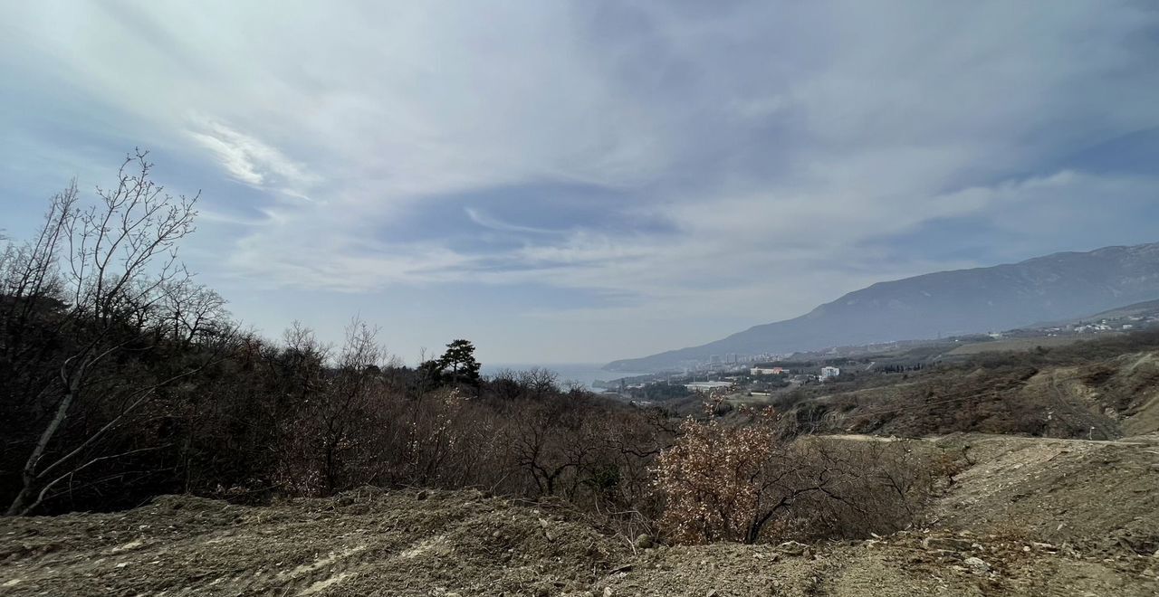 земля г Ялта пгт Гурзуф Алушта фото 4