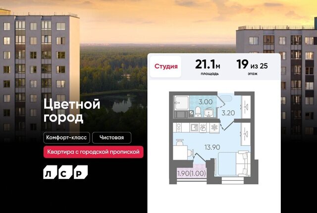 Ручьи Ленинградская область фото