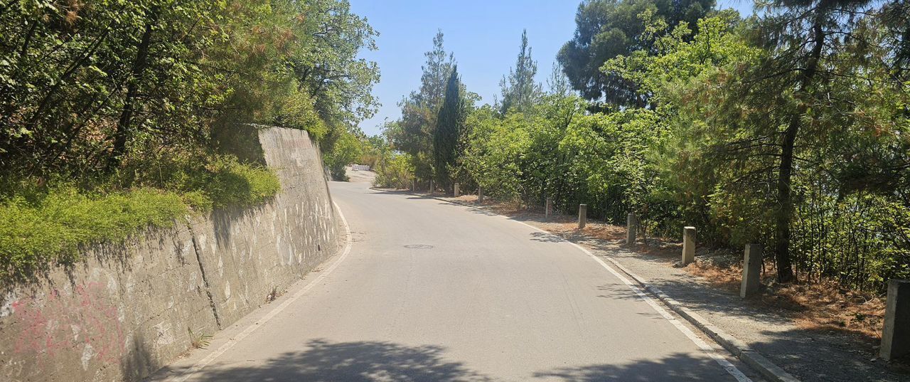 земля г Ялта пгт Береговое ул Кипарисная г Алупка фото 7