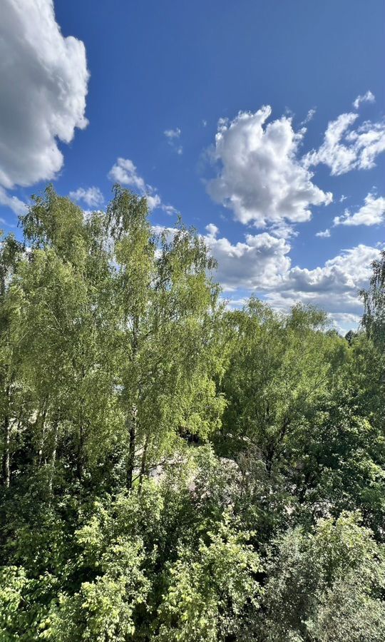 квартира городской округ Истра г Дедовск ул Ленина 3 фото 33