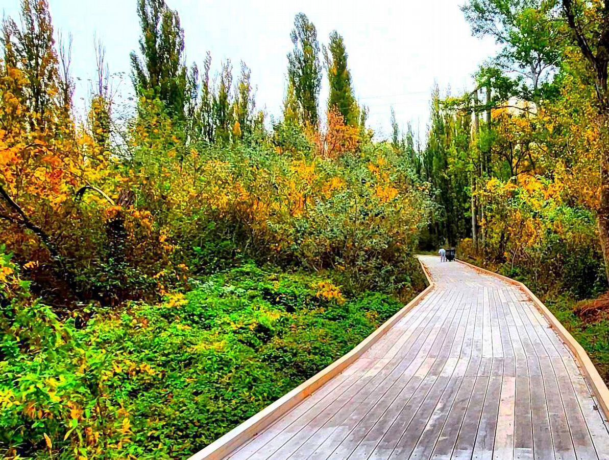 квартира г Махачкала р-н Кировский фото 13