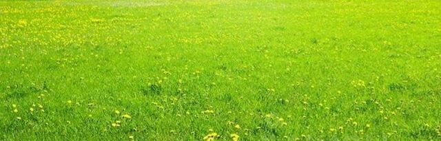снт Мечта 9 ул Малиновая 15 Красноуральский сельсовет фото