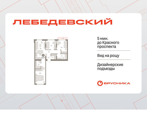 квартал № 5 Заельцовская ЖК «Лебедевский» фото