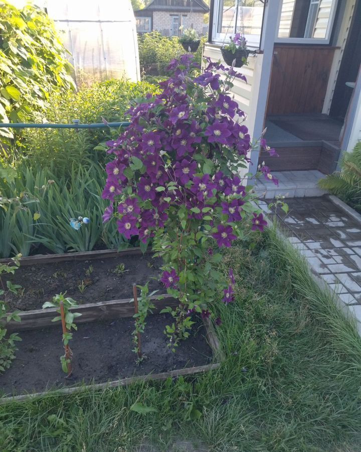дом г Бийск снт Союз фото 10