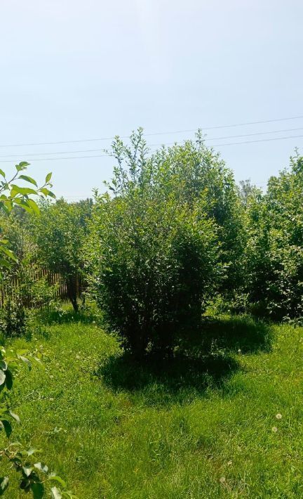 свободного назначения г Омск снт Рассвет Таврический район фото 20