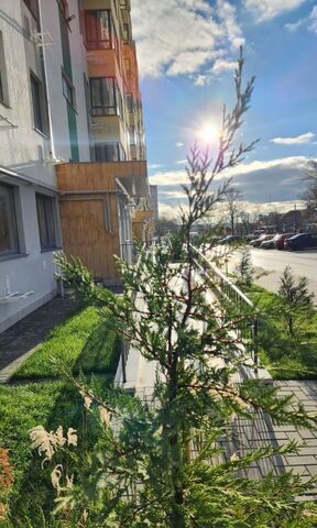 ул 51-й Армии 124 фото
