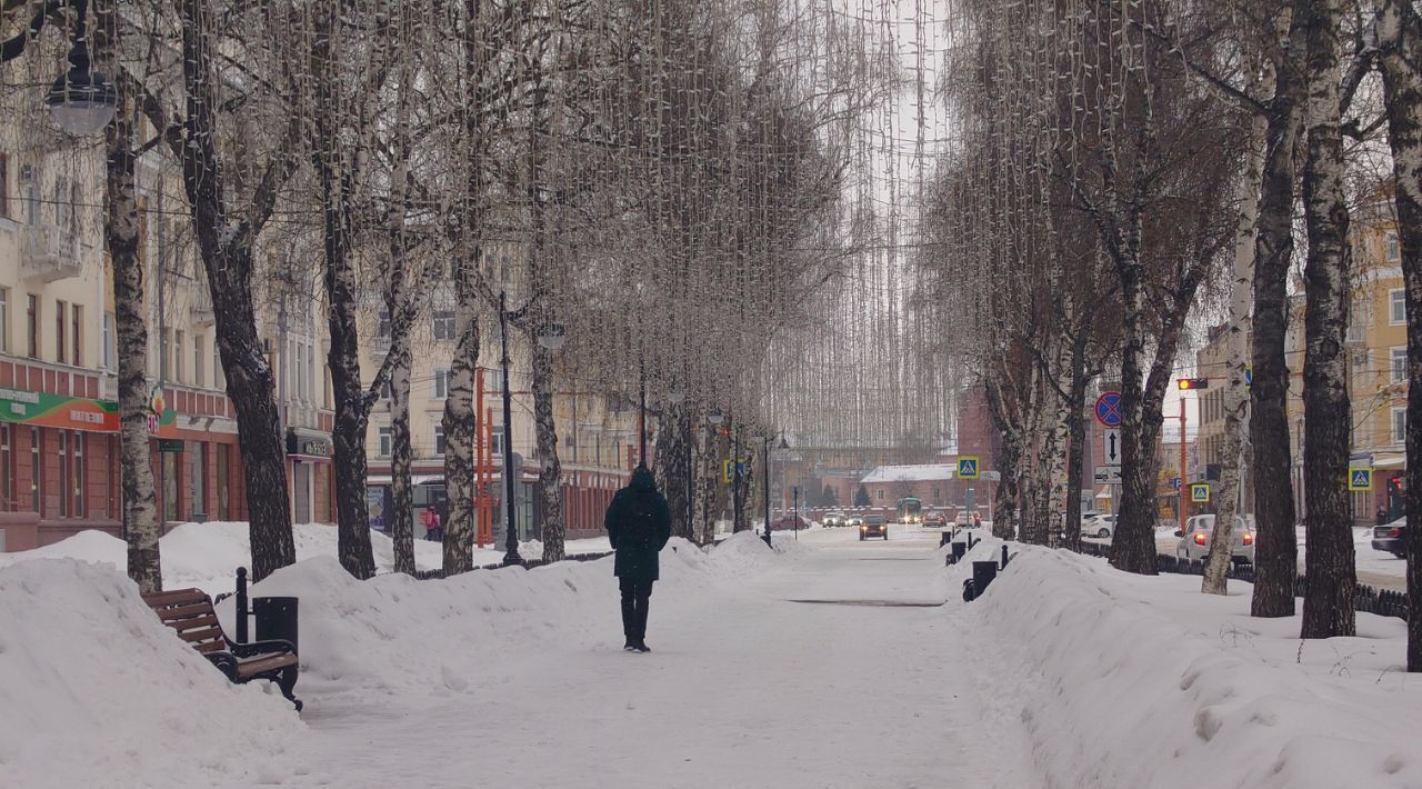 квартира г Кемерово р-н Центральный пр-кт Советский 31 фото 26