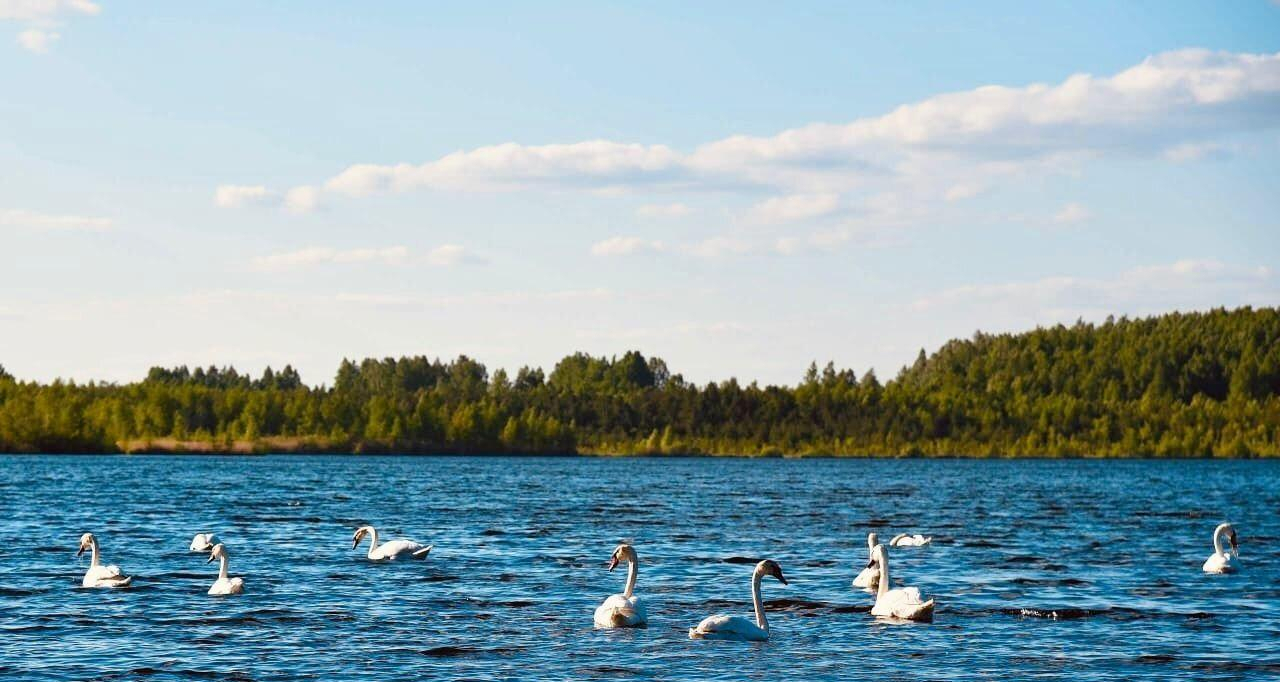 квартира г Дегтярск ул Гагарина 3 фото 38